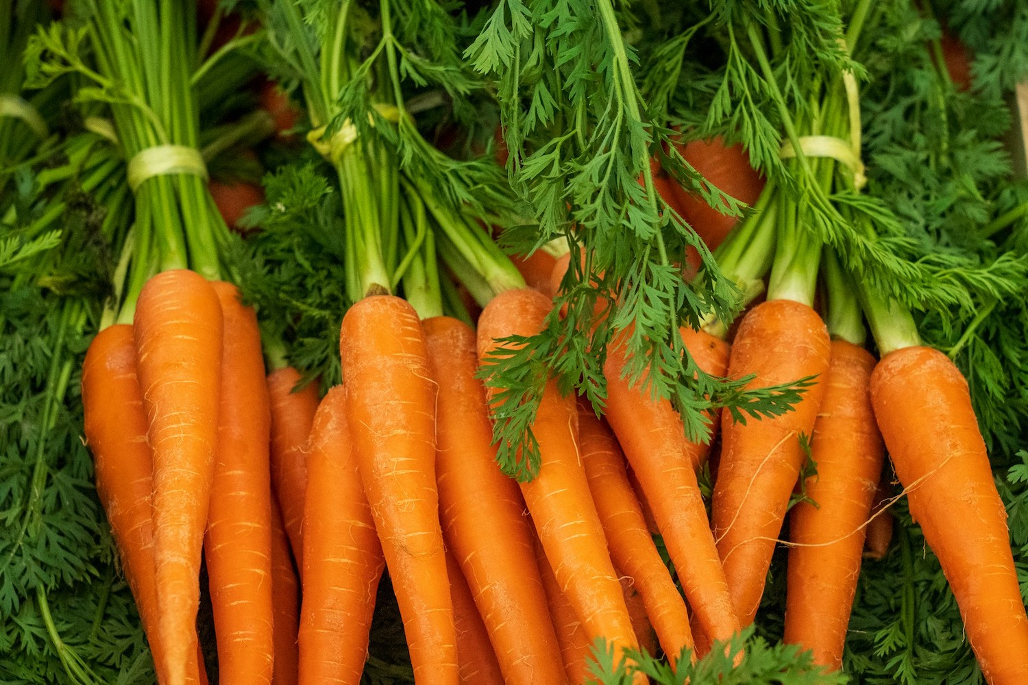 cuisson des carottes