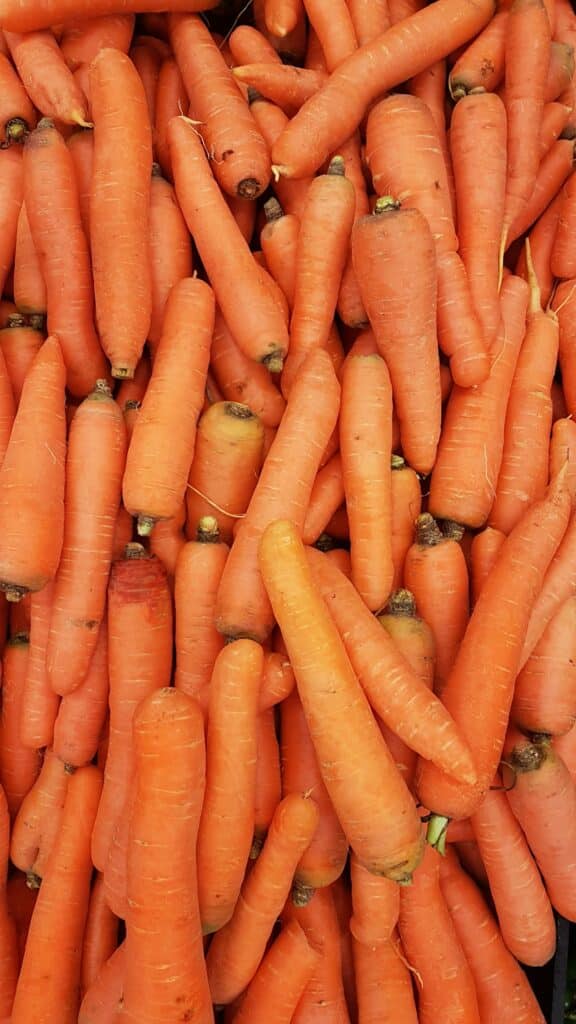 cuisson des carottes