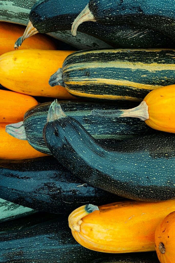 conserver les courgettes