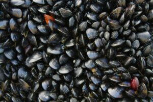 combien de moules par personne